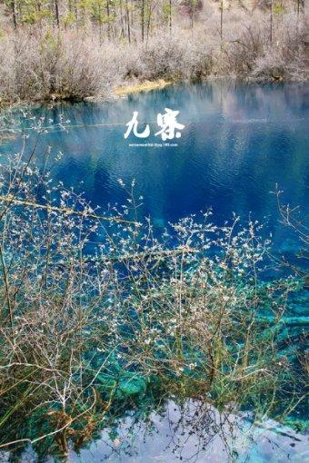 创作猫