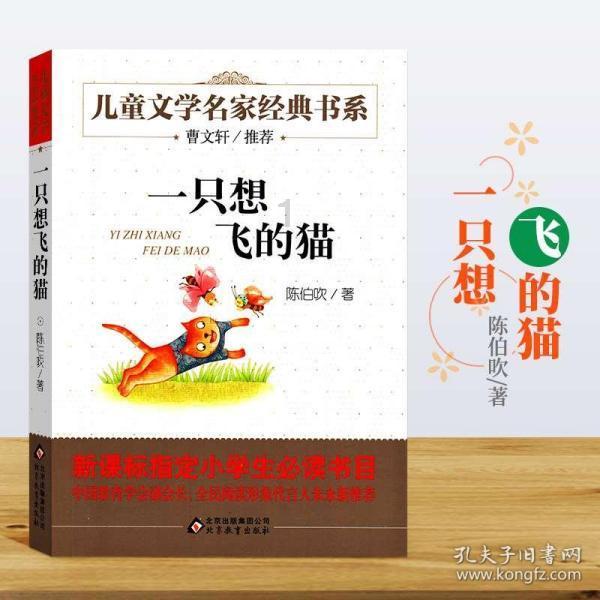 小猫钓鱼开船版最新版下载