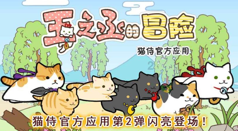 探索知识星球平台,加入他们正在收拾手提箱英语?开启智慧之旅