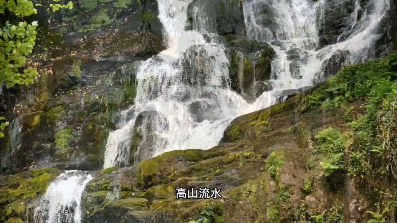 小猫钓鱼开船版最新版下载
