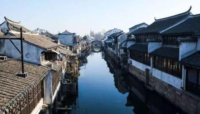 动物帮帮忙保卫家园