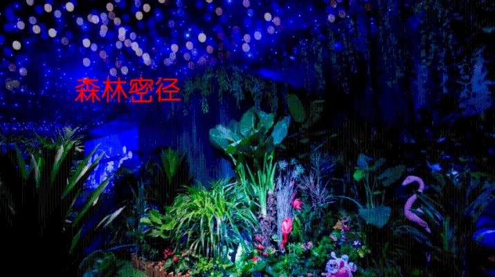 紫罗兰的花语和寓意-专业问答类网站